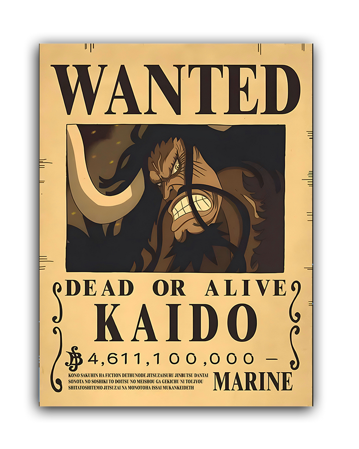 WANTED KAIDO - LED Bilder Folie